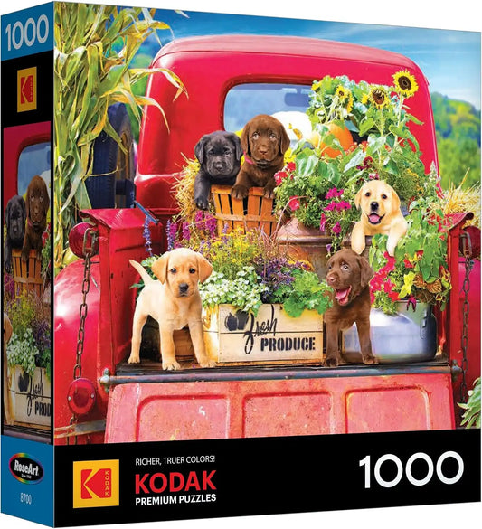 RoseArt Kodak Premium Stowaways 1000 Piece Jigsaw Puzzle for Adults