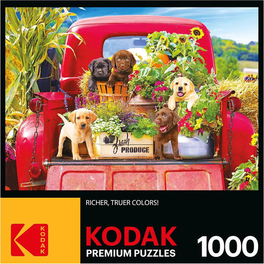 RoseArt Kodak Premium Stowaways 1000 Piece Jigsaw Puzzle for Adults